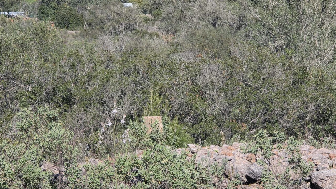 Terreno para Venda em Paderne Foto 3
