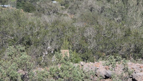 Terreno para Venda em Paderne