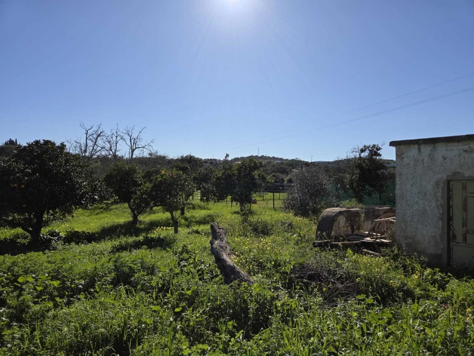 Terreno para Venda em Paderne Foto 3