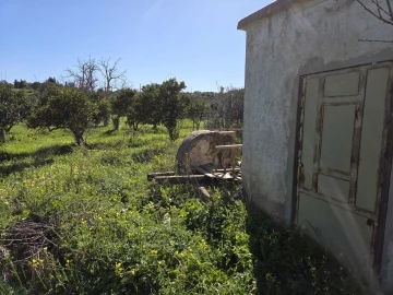 Terreno para Venda em Paderne