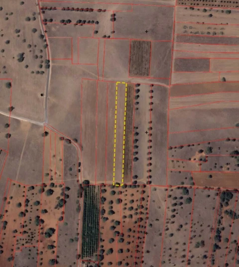 Terreno para Venda em Paderne