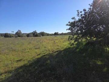 Terreno para Venda em Paderne