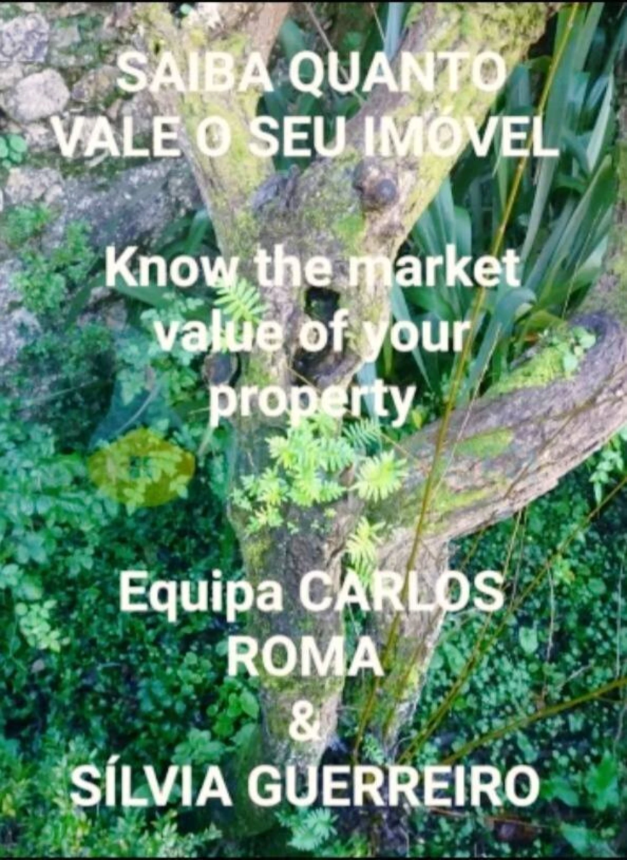 Terreno para Venda em Paderne Foto 2