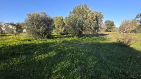 Terreno para Venda em Paderne