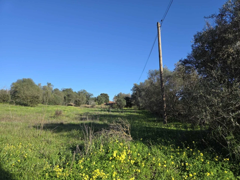 Terreno para Venda em Paderne Foto 1