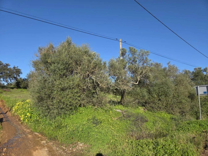 Terreno para Venda em Paderne Foto 3