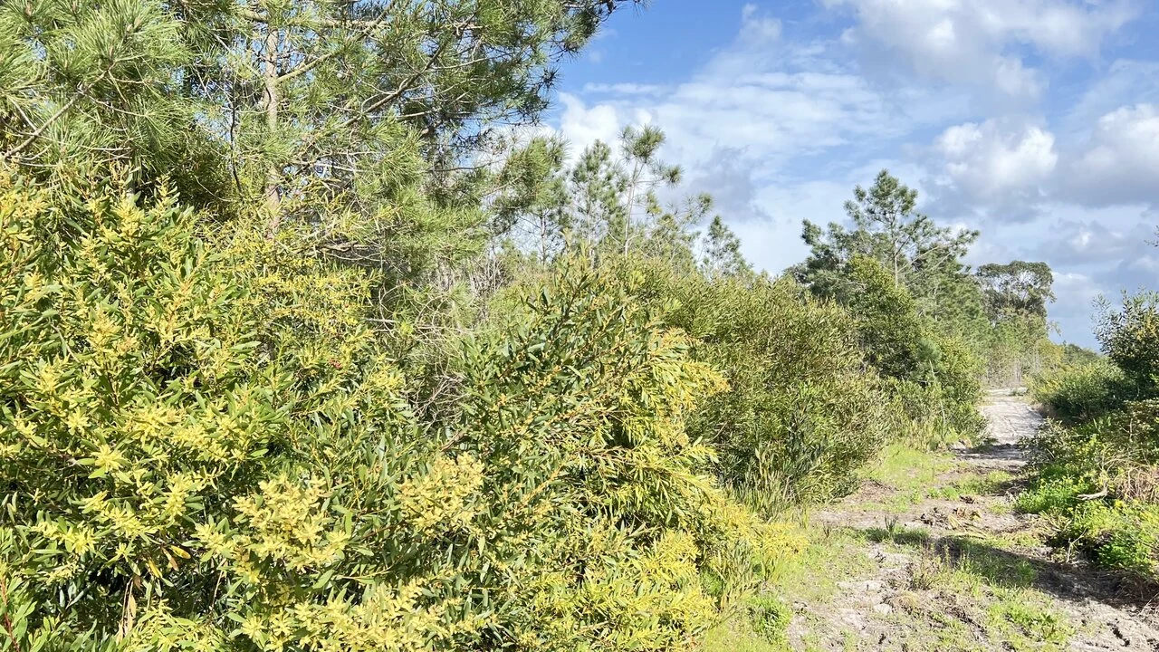 Terreno para Venda em Aljezur Foto 1