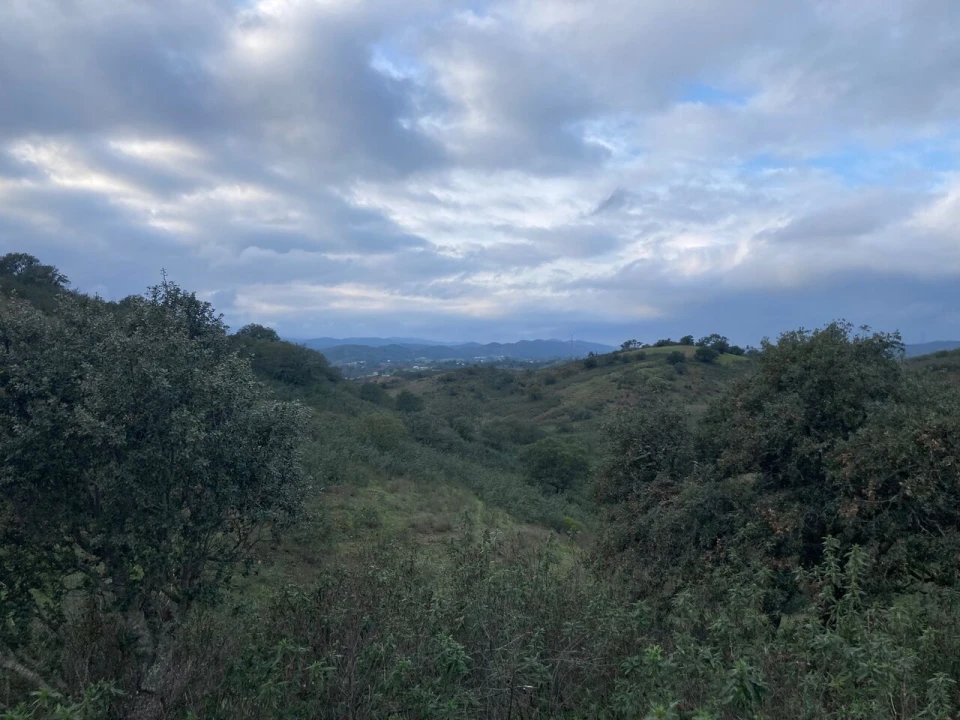 Terreno para Venda em São Bartolomeu de Messines Foto 2