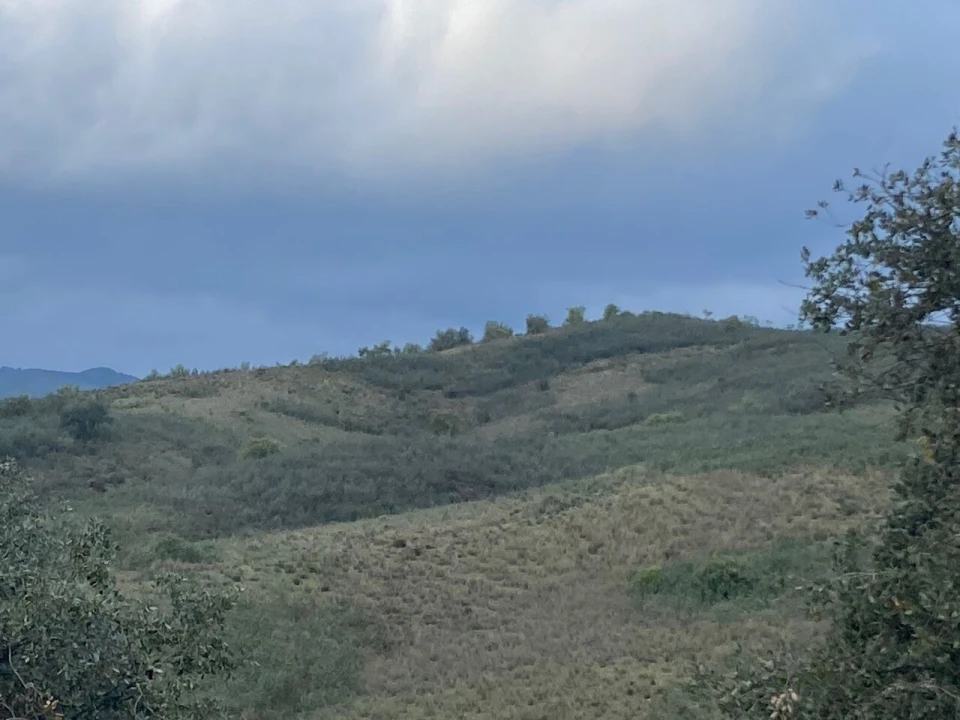 Terreno para Venda em São Bartolomeu de Messines Foto 3