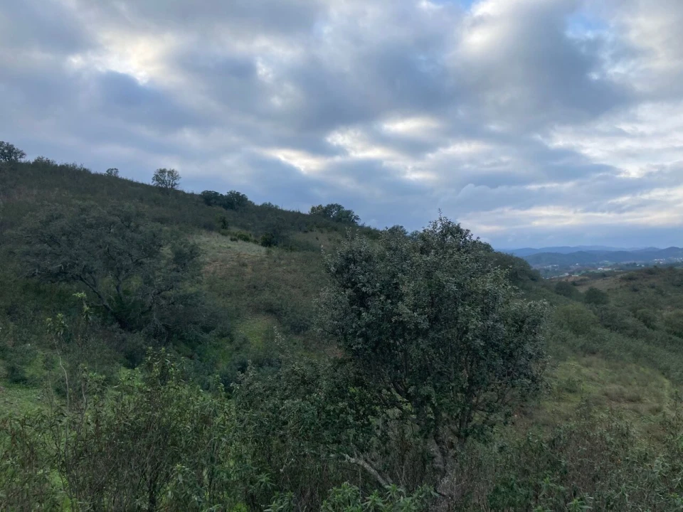 Terreno para Venda em São Bartolomeu de Messines Foto 5