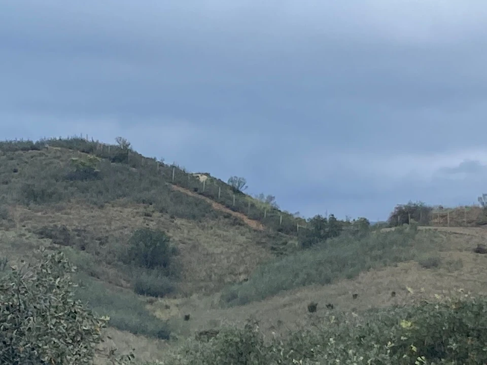 Terreno para Venda em São Bartolomeu de Messines Foto 6