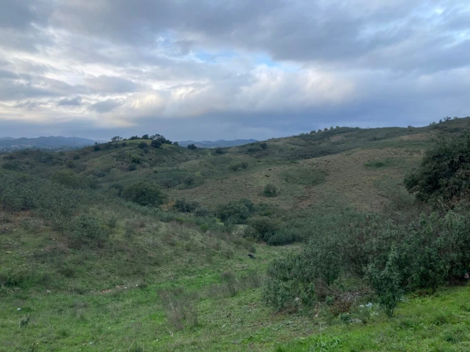 Terreno para Venda em São Bartolomeu de Messines Foto 8