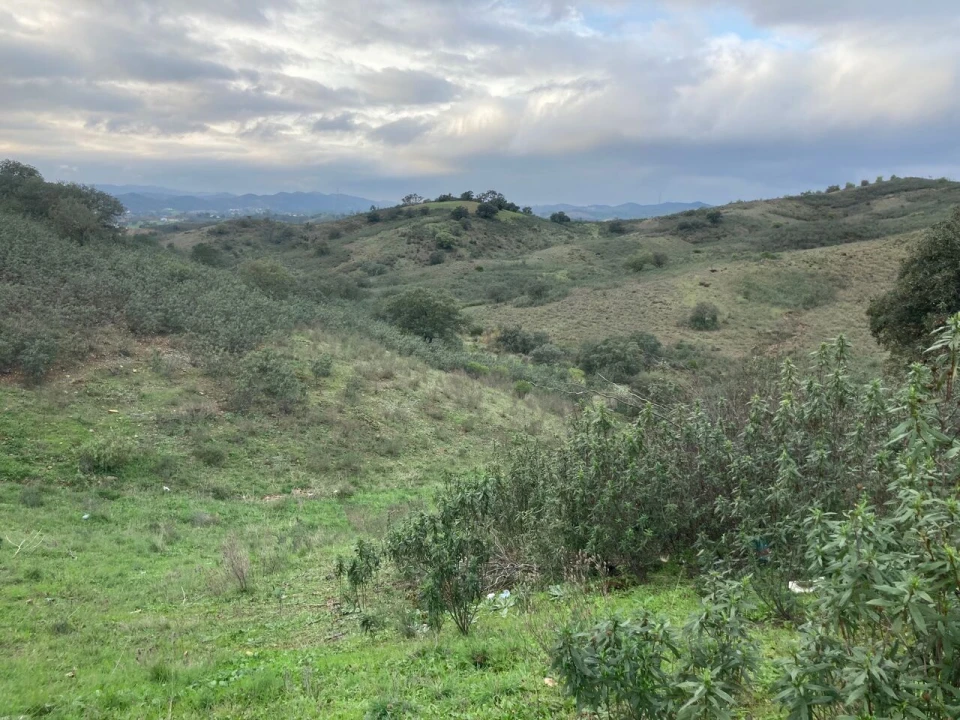 Terreno para Venda em São Bartolomeu de Messines Foto 9