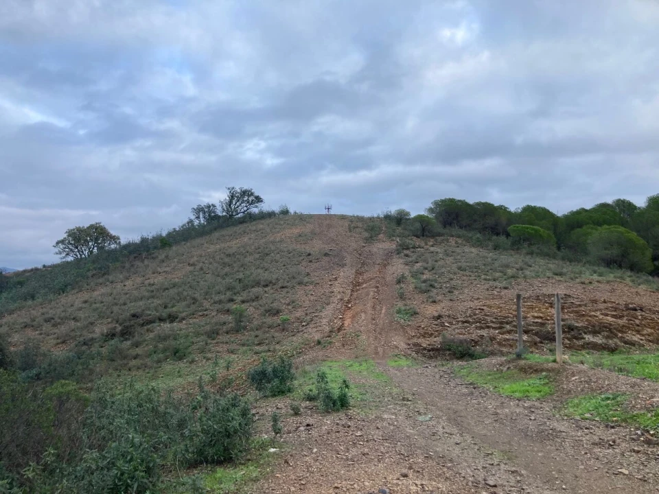 Terreno para Venda em São Bartolomeu de Messines Foto 10