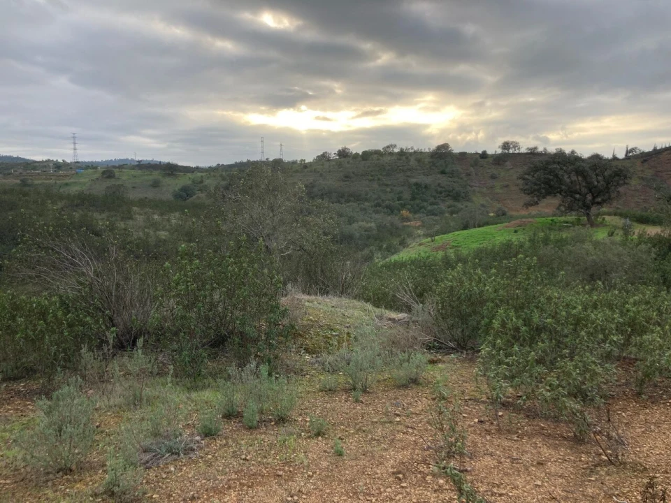 Terreno para Venda em São Bartolomeu de Messines Foto 14