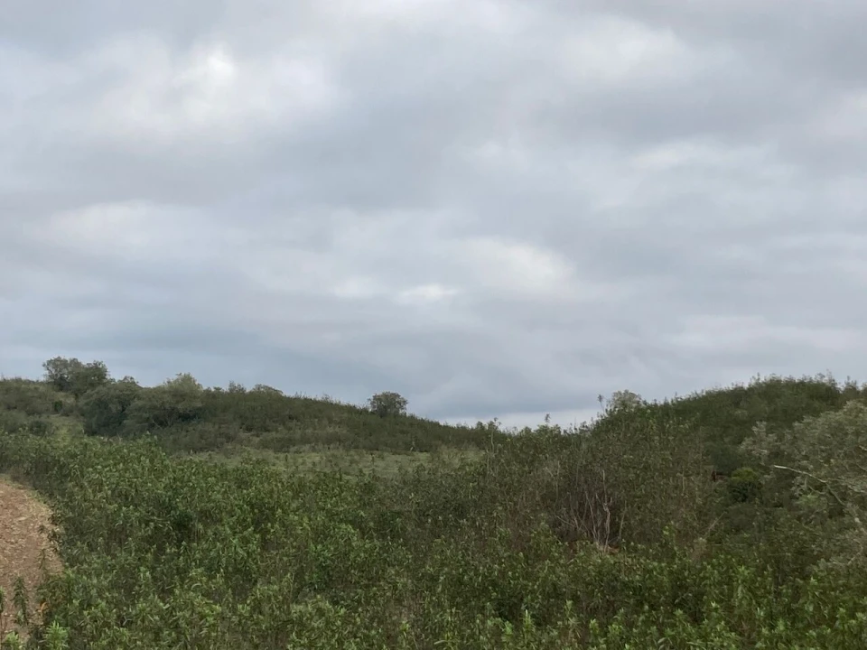 Terreno para Venda em São Bartolomeu de Messines Foto 15