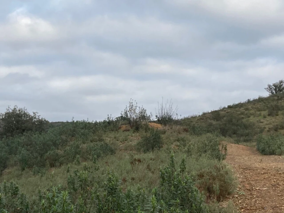 Terreno para Venda em São Bartolomeu de Messines Foto 18