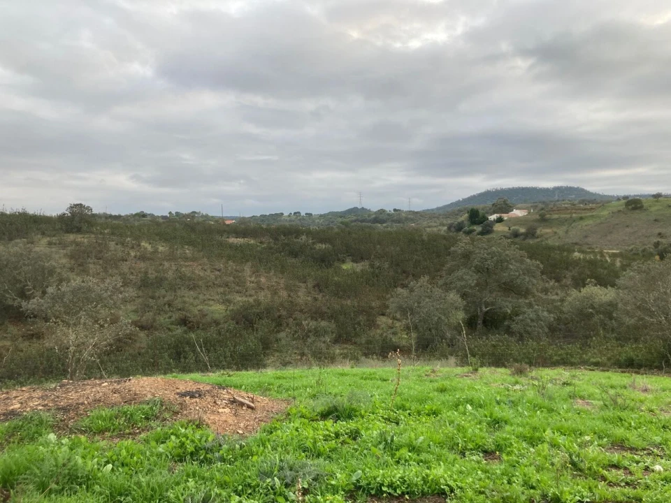 Terreno para Venda em São Bartolomeu de Messines Foto 22