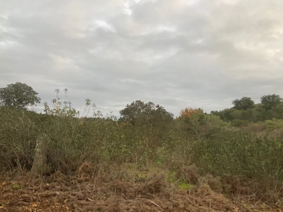 Terreno para Venda em São Bartolomeu de Messines Foto 24