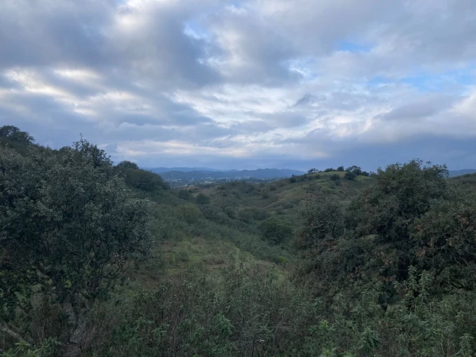 Terreno para Venda em São Bartolomeu de Messines Foto 2