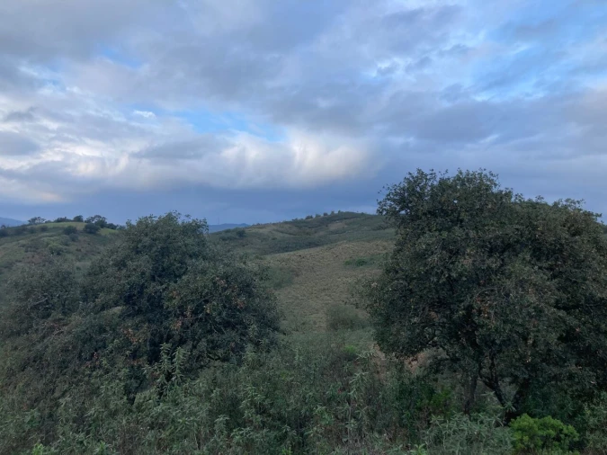 Terreno para Venda em São Bartolomeu de Messines Foto 4