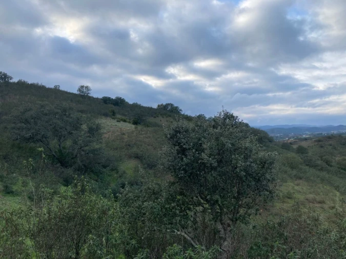 Terreno para Venda em São Bartolomeu de Messines Foto 5
