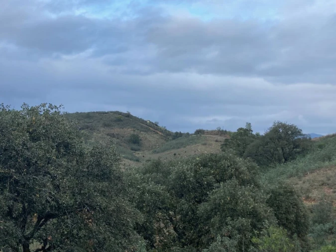 Terreno para Venda em São Bartolomeu de Messines Foto 7