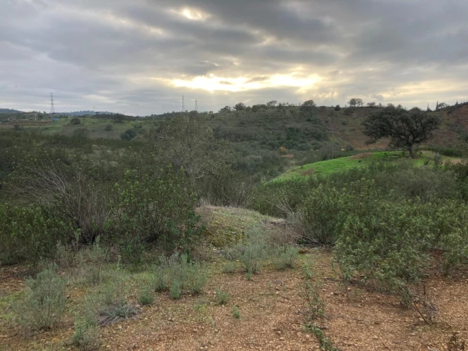 Terreno para Venda em São Bartolomeu de Messines Foto 14