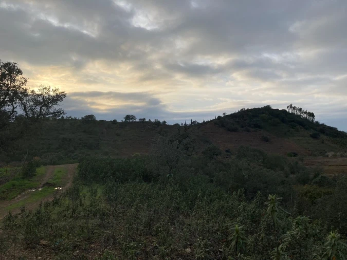 Terreno para Venda em São Bartolomeu de Messines Foto 21