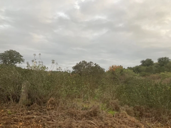 Terreno para Venda em São Bartolomeu de Messines Foto 24