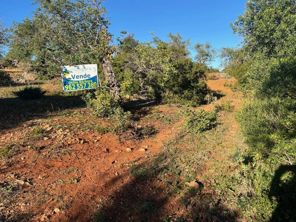Terreno para Venda em Boliqueime Foto 6