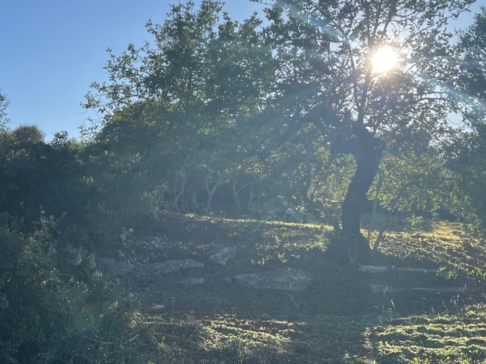 Terreno para Venda em Boliqueime Foto 13