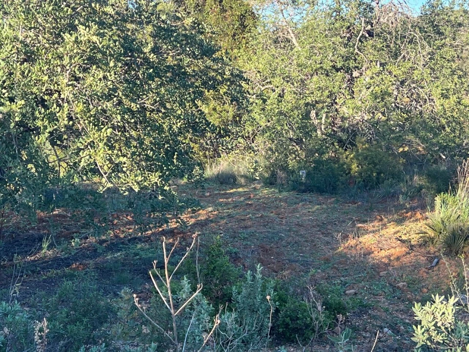 Terreno para Venda em Boliqueime Foto 15