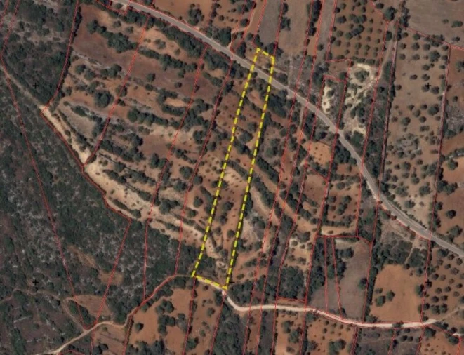 Terreno para Venda em Boliqueime Foto 11