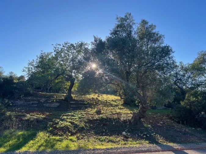 Terreno para Venda em Boliqueime Foto 3
