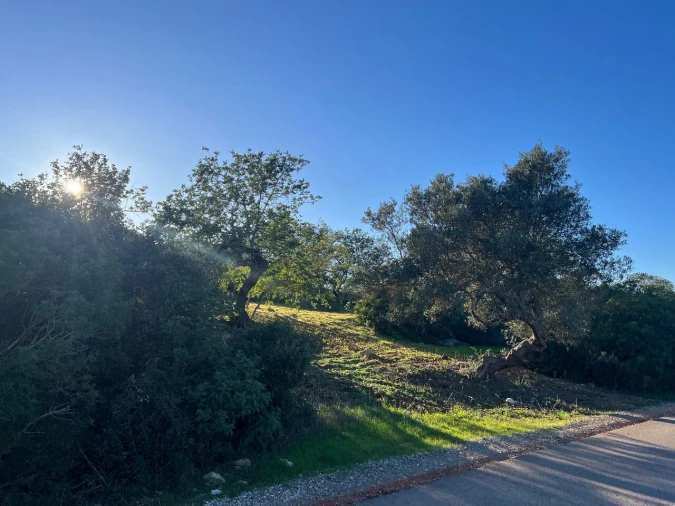 Terreno para Venda em Boliqueime Foto 5