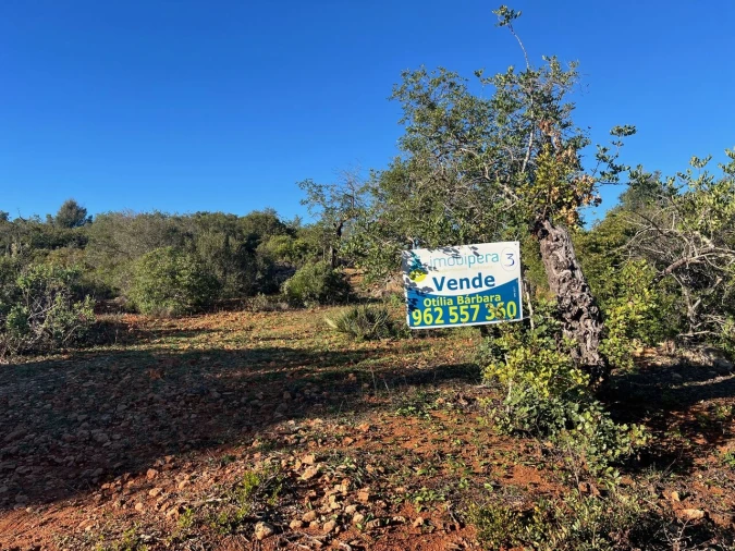Terreno para Venda em Boliqueime Foto 2