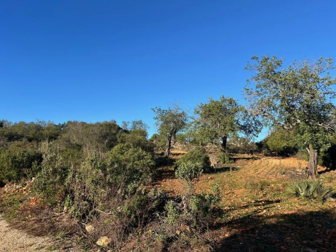 Terreno para Venda em Boliqueime Foto 8