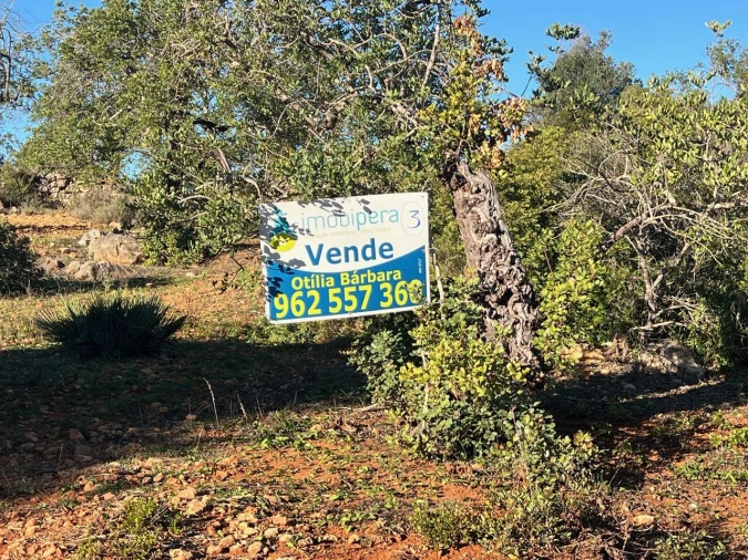 Terreno para Venda em Boliqueime Foto 9