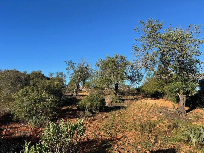 Terreno para Venda em Boliqueime Foto 10