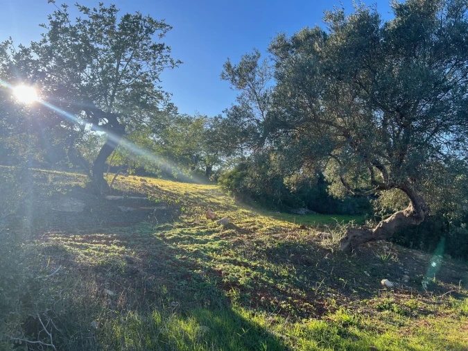 Terreno para Venda em Boliqueime Foto 4