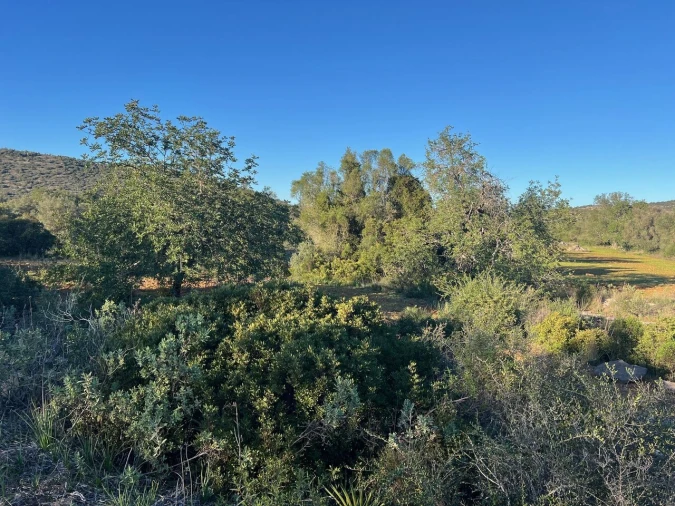 Terreno para Venda em Boliqueime Foto 14