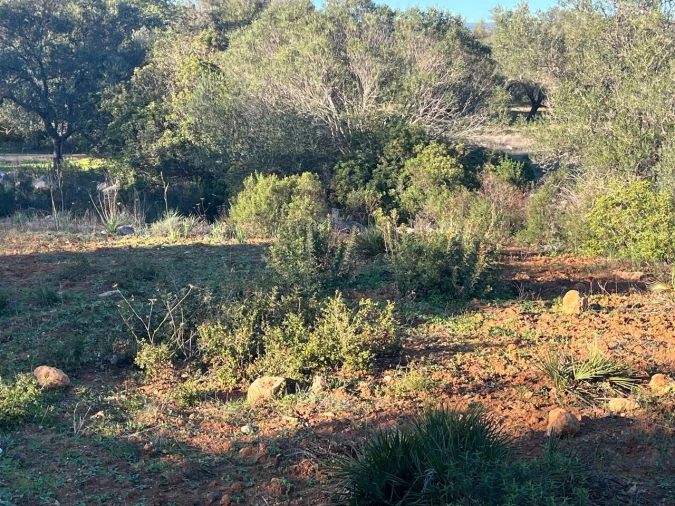Terreno para Venda em Boliqueime Foto 17