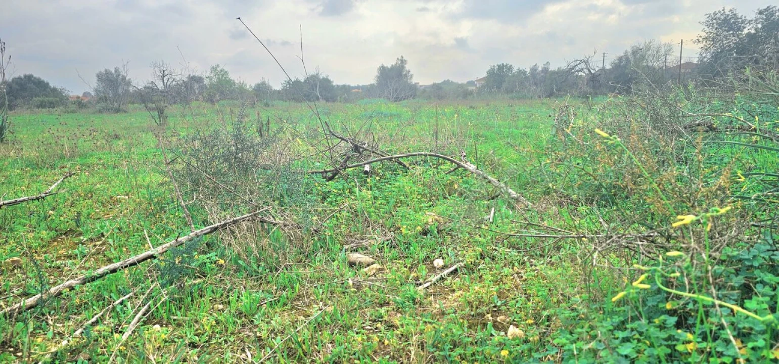Terreno para Venda em São Bartolomeu de Messines Foto 3