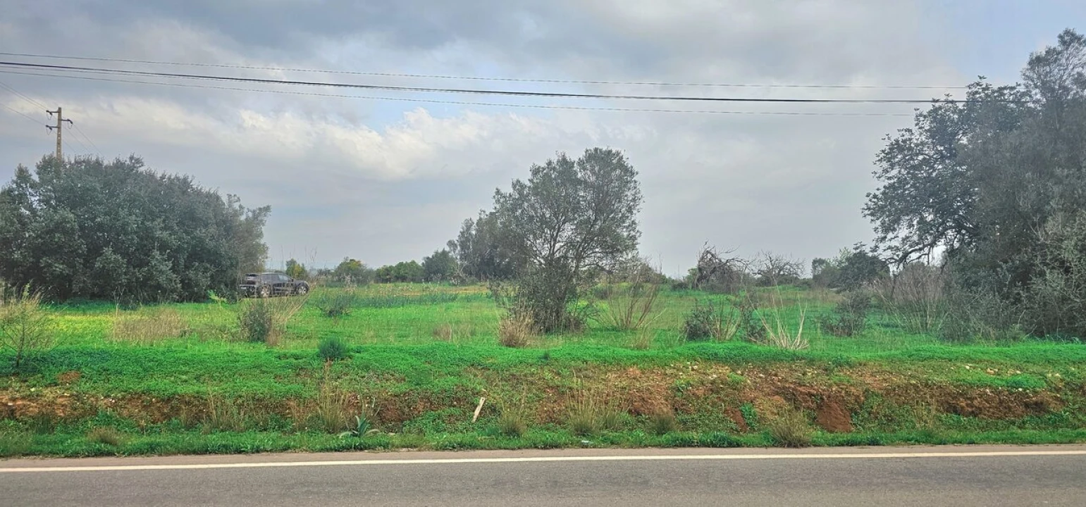Terreno para Venda em São Bartolomeu de Messines Foto 7