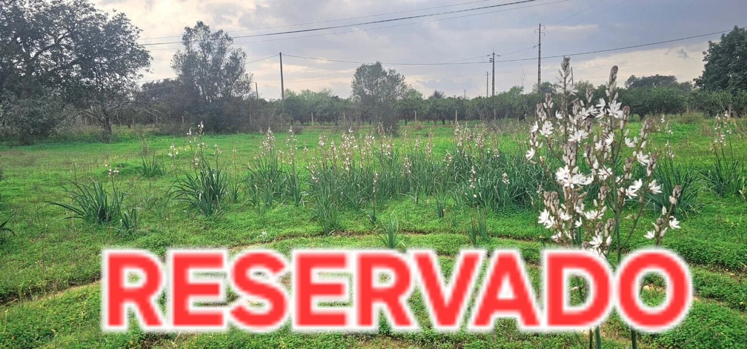 Terreno para Venda em São Bartolomeu de Messines Foto 1