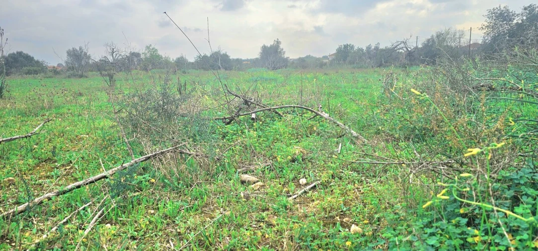 Terreno para Venda em São Bartolomeu de Messines Foto 3