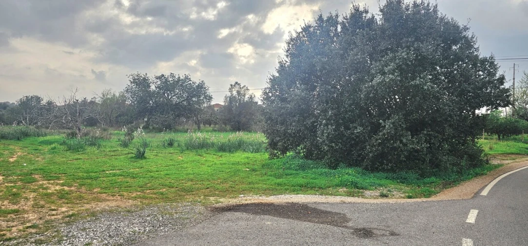 Terreno para Venda em São Bartolomeu de Messines