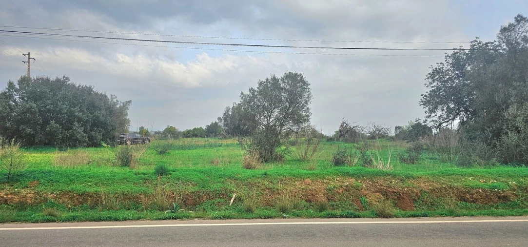 Terreno para Venda em São Bartolomeu de Messines Foto 7