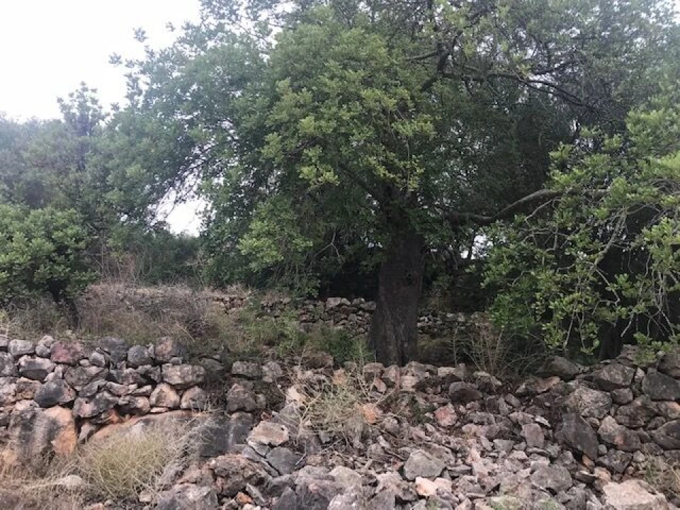 Moradia T4 para Venda em Paderne Foto 31